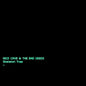Nick Cave & Bad Seeds: Skeleton Tree
