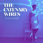 Catenary Wires: Mirrorball