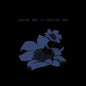 Bright Eyes: Digital Ash In A Digital Urn