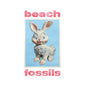 Beach Fossils: Bunny - Powder Blue