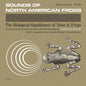 Various Artists: Sounds of North American Frogs